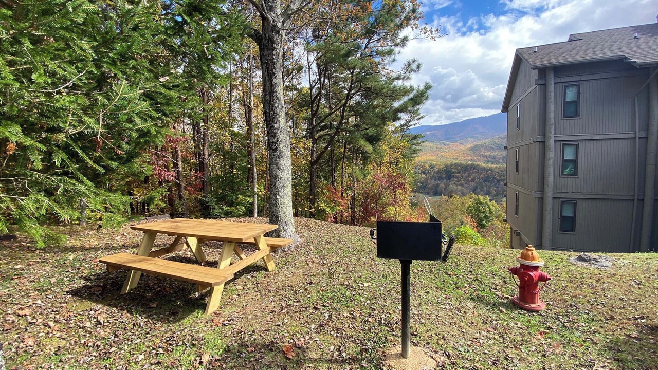Photo of Others in Gatlinburg