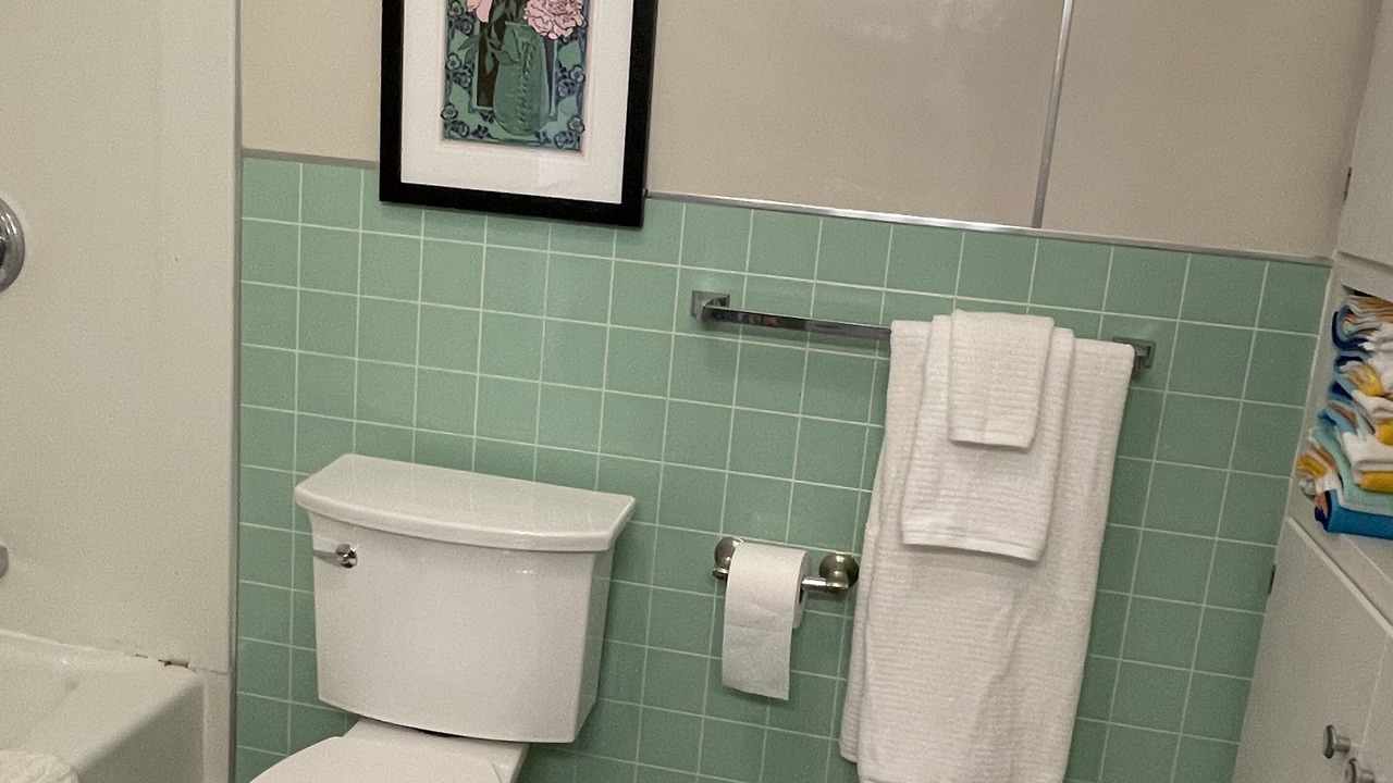 Photo of Bathroom in Paw Paw