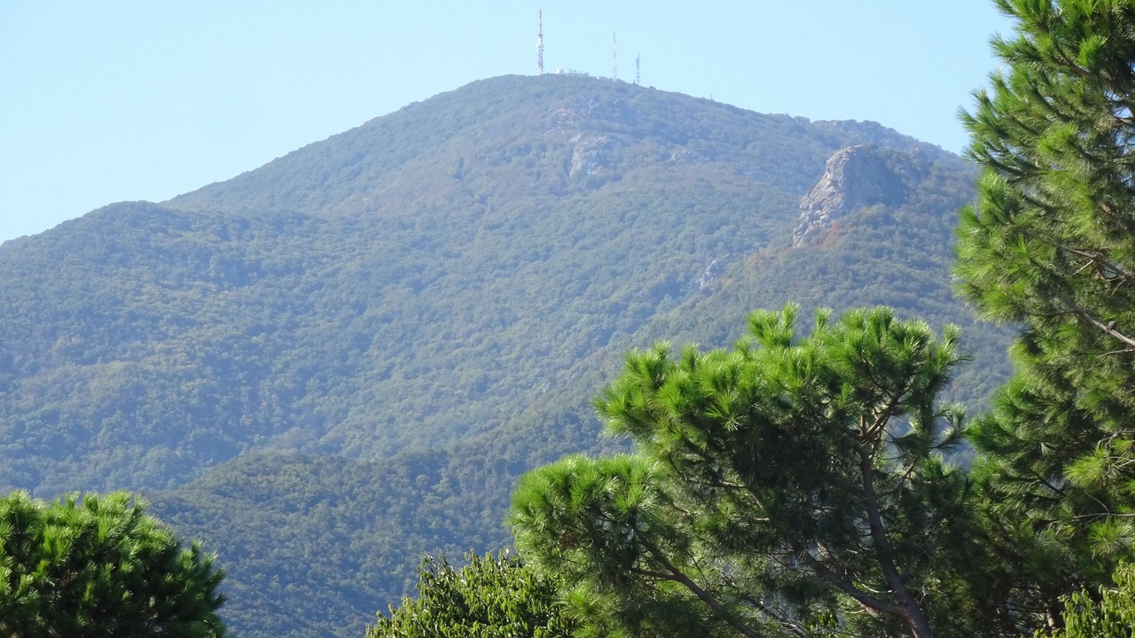 Photo of Others in Sorede