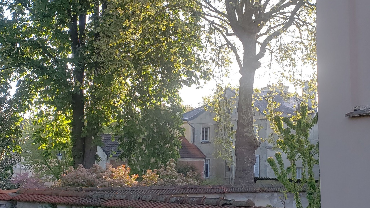 Photo of Outdoor in Saint-Louis