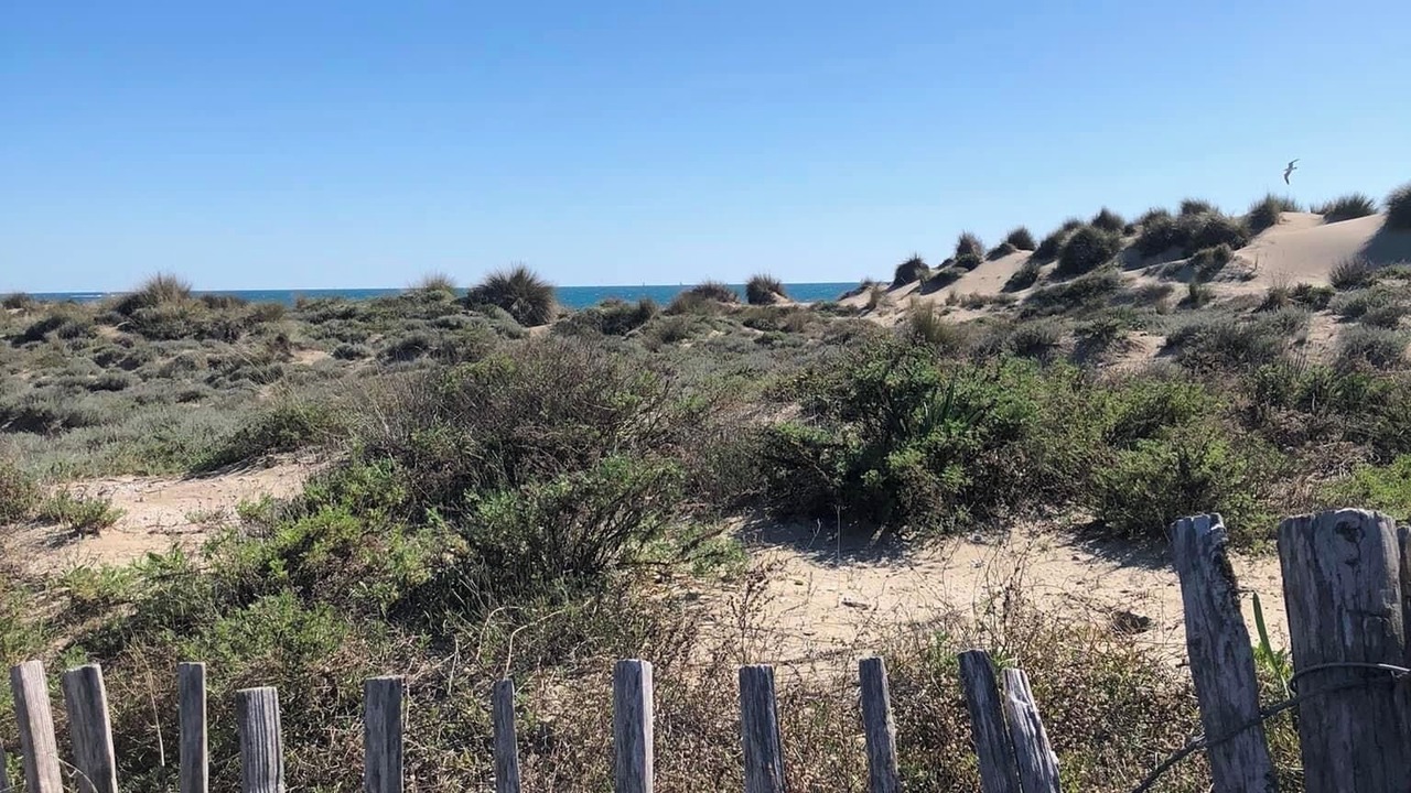 Photo of Outdoor in La Petite Motte