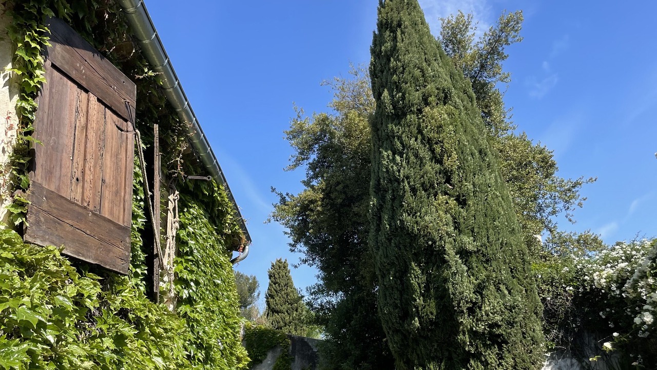 Photo of Outdoor in Bernis