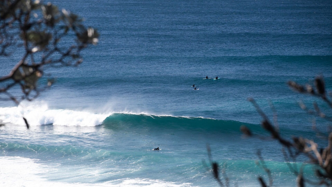 Photo of Others in Dolphin Point
