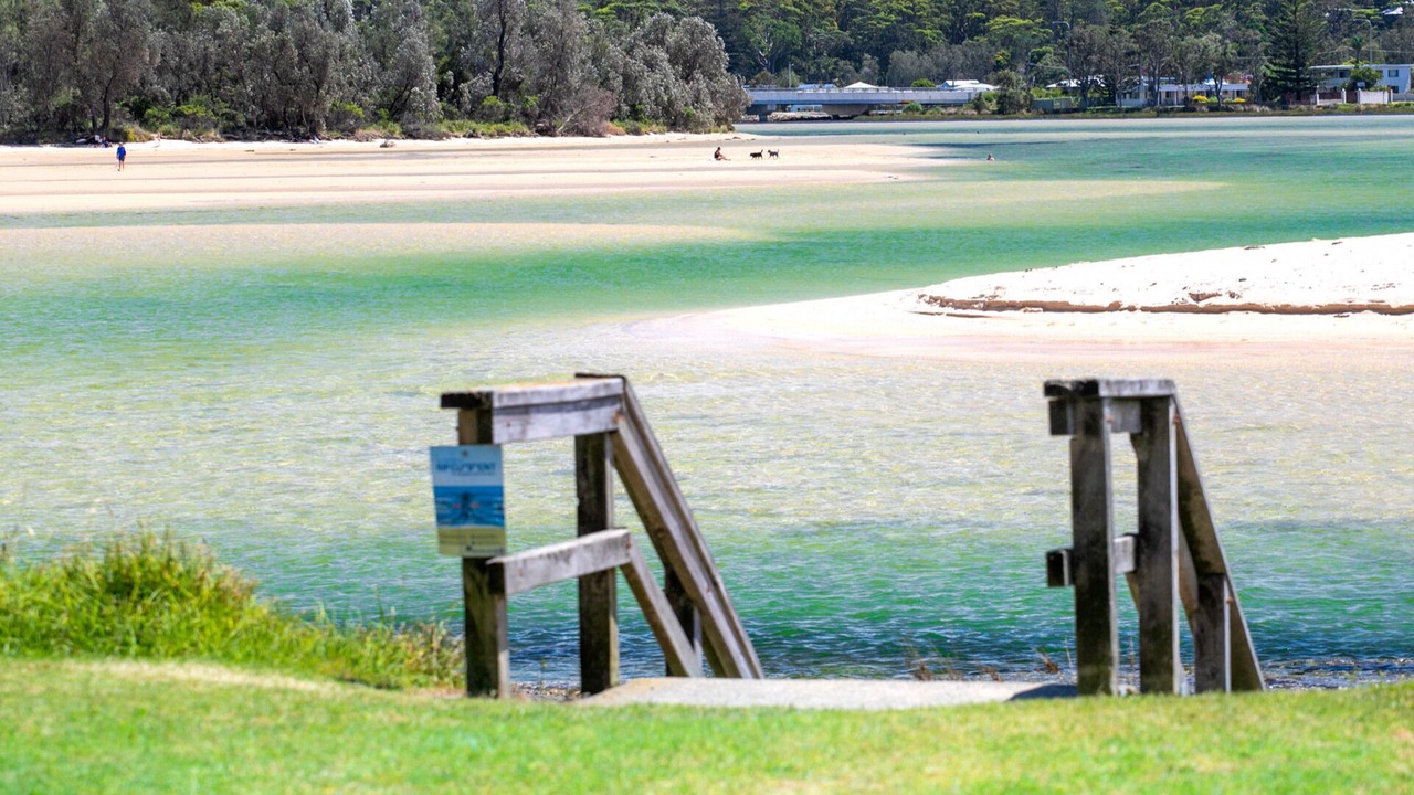 Photo of Others in Dolphin Point