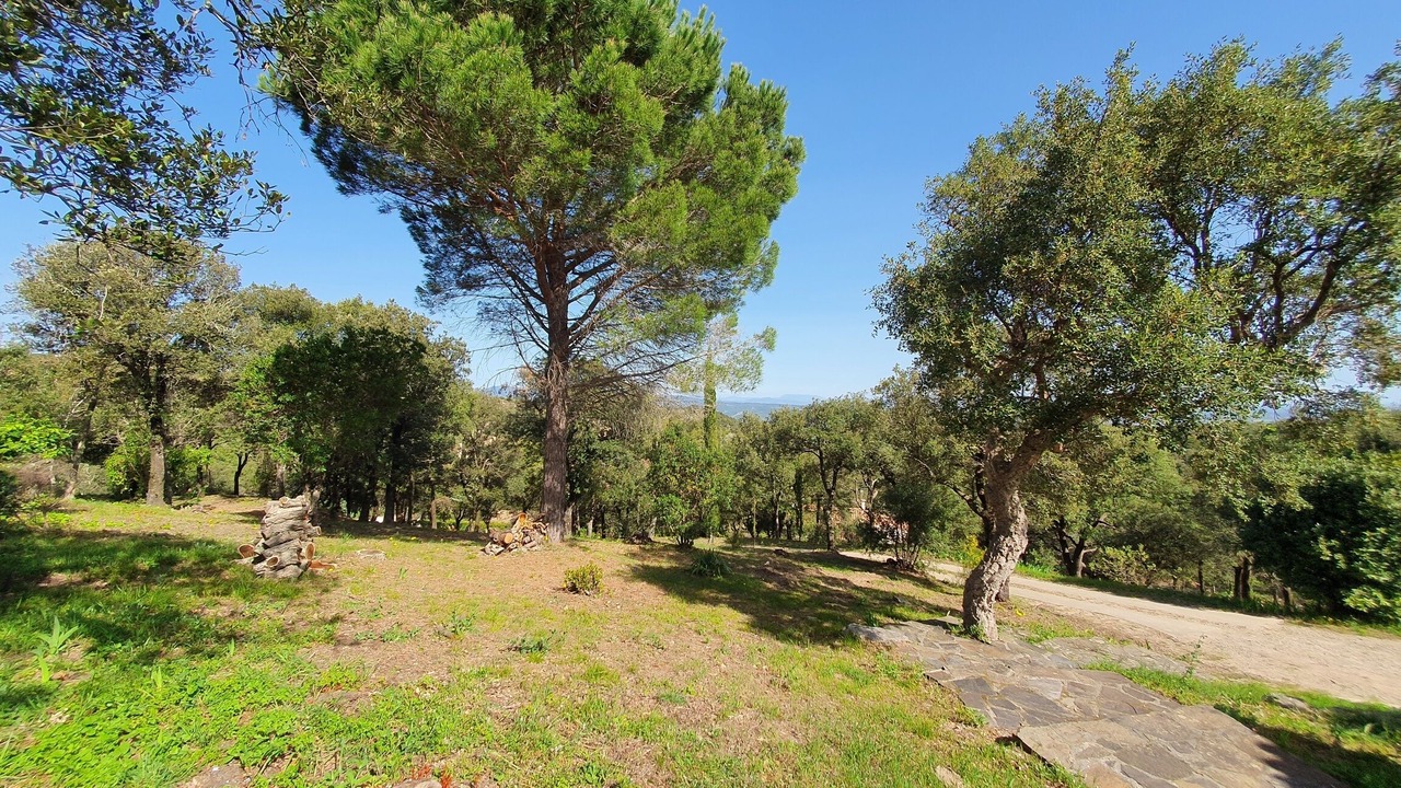 Photo of Outdoor in Ceret