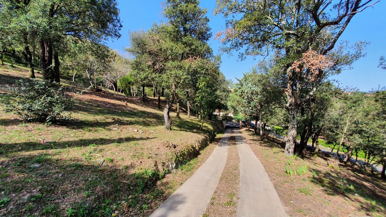 Photo of Outdoor in Ceret