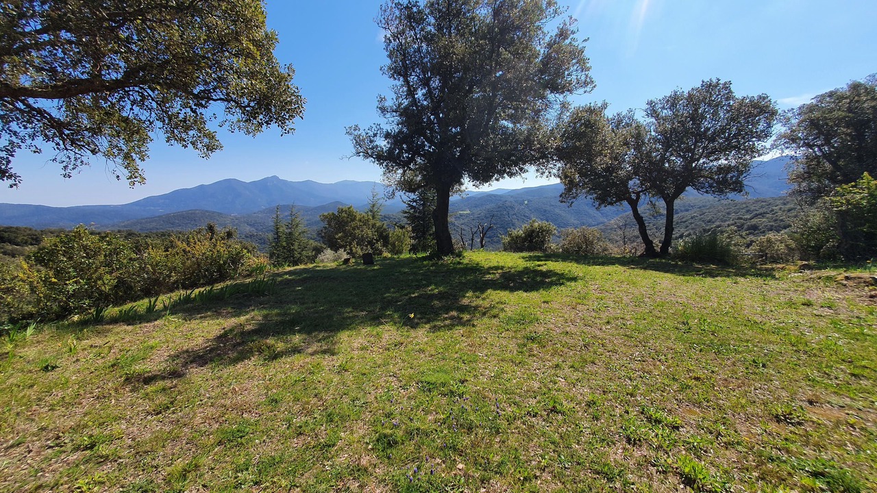 Photo of Outdoor in Ceret