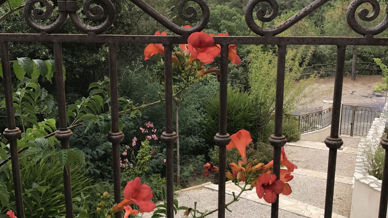 Photo of Outdoor in Camelas