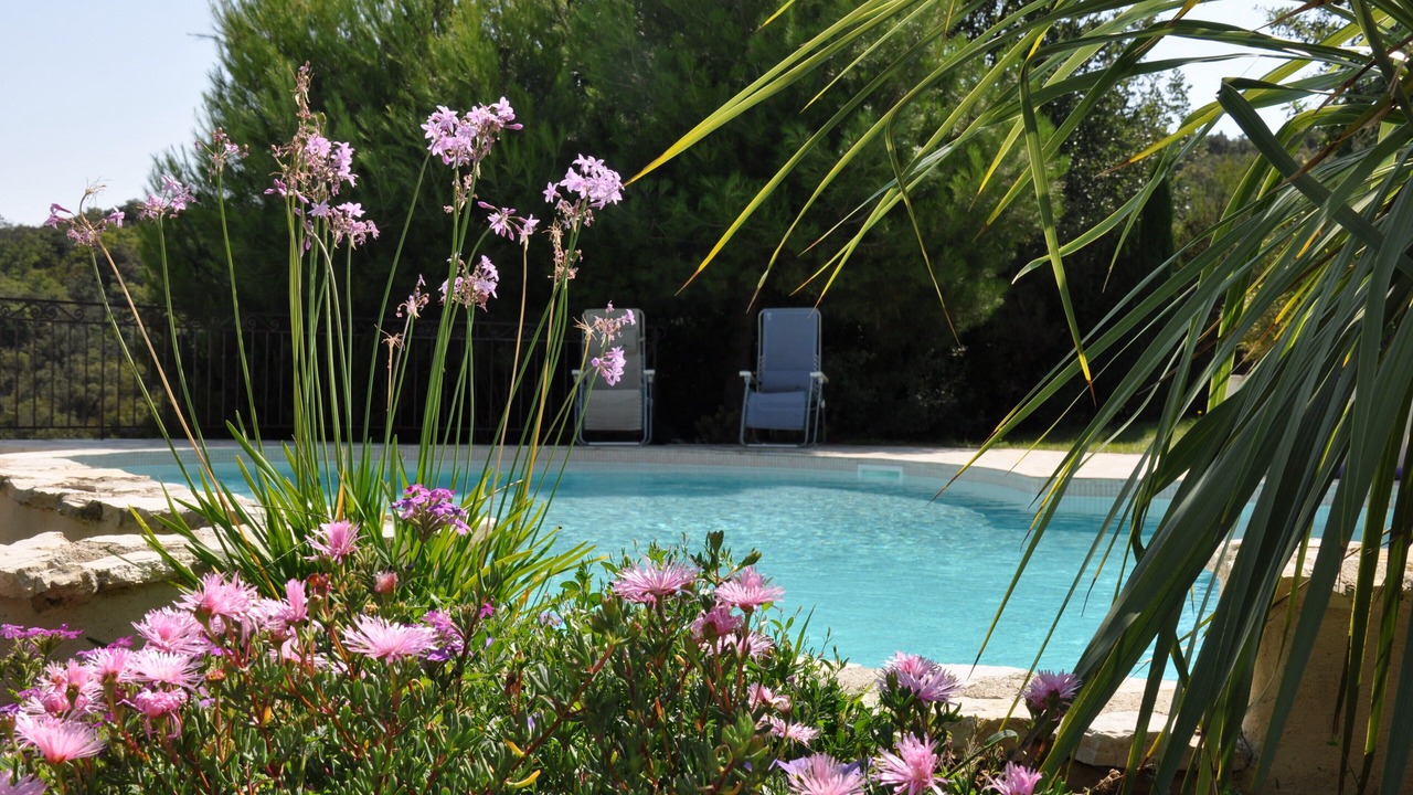 Photo of Outdoor in Camelas