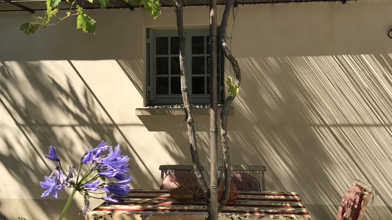 Photo of Outdoor in Camelas