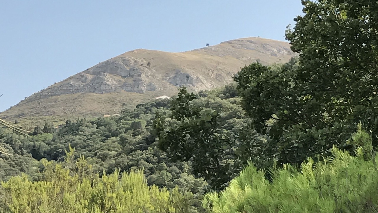 Photo of Others in Camelas