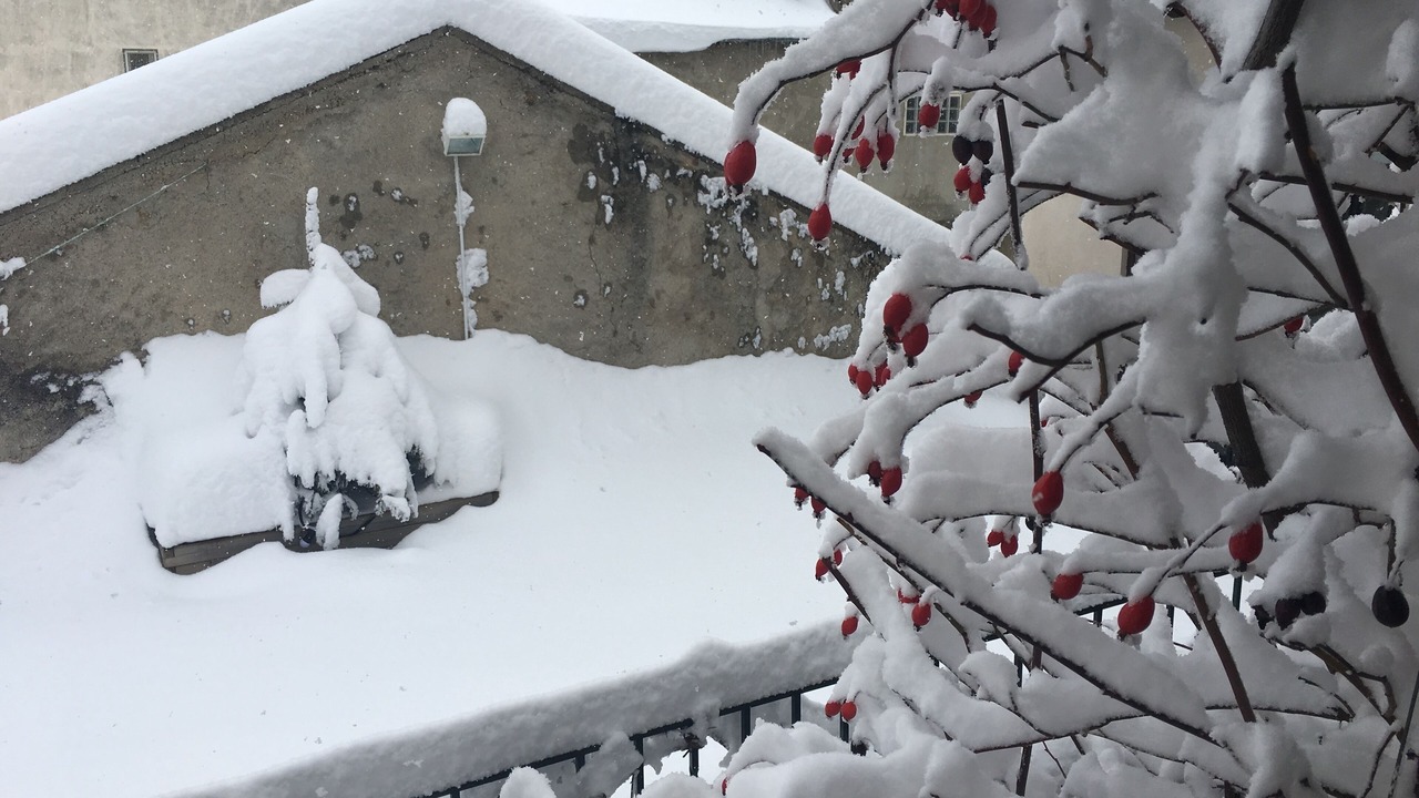 Photo of Outdoor in Mont-Louis