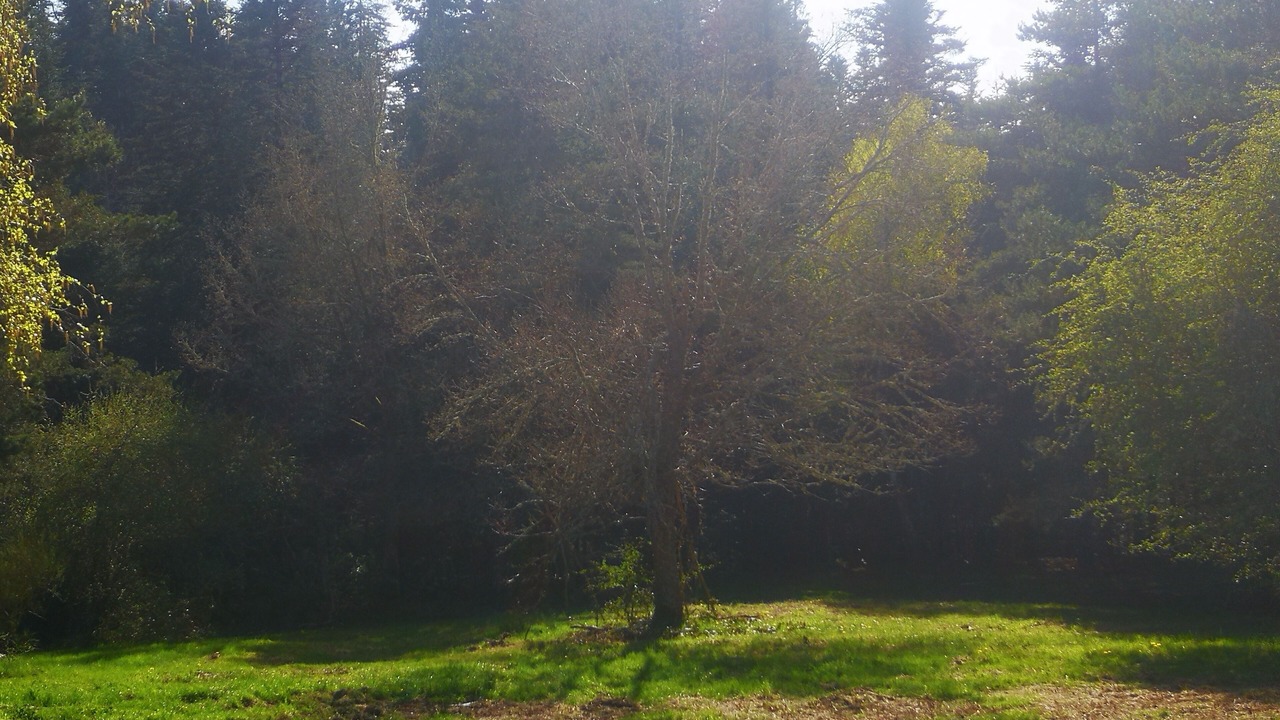 Photo of Outdoor in La Chapelle-Geneste