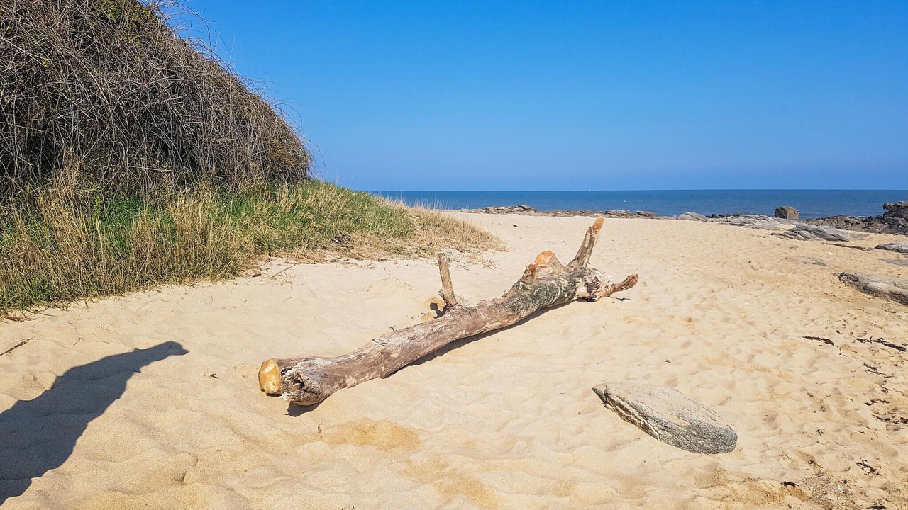 Photo of Others in Noirmoutier-en-l'Ile
