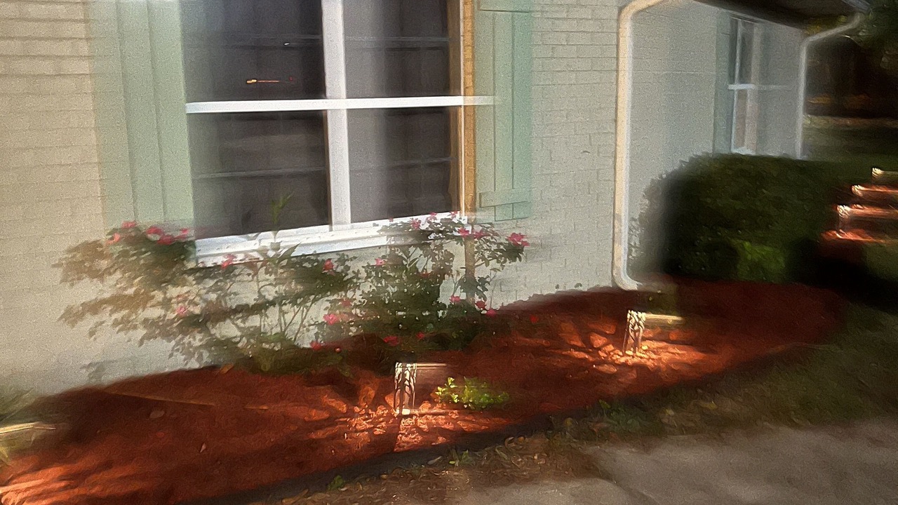 Photo of Outdoor in Florida Panhandle