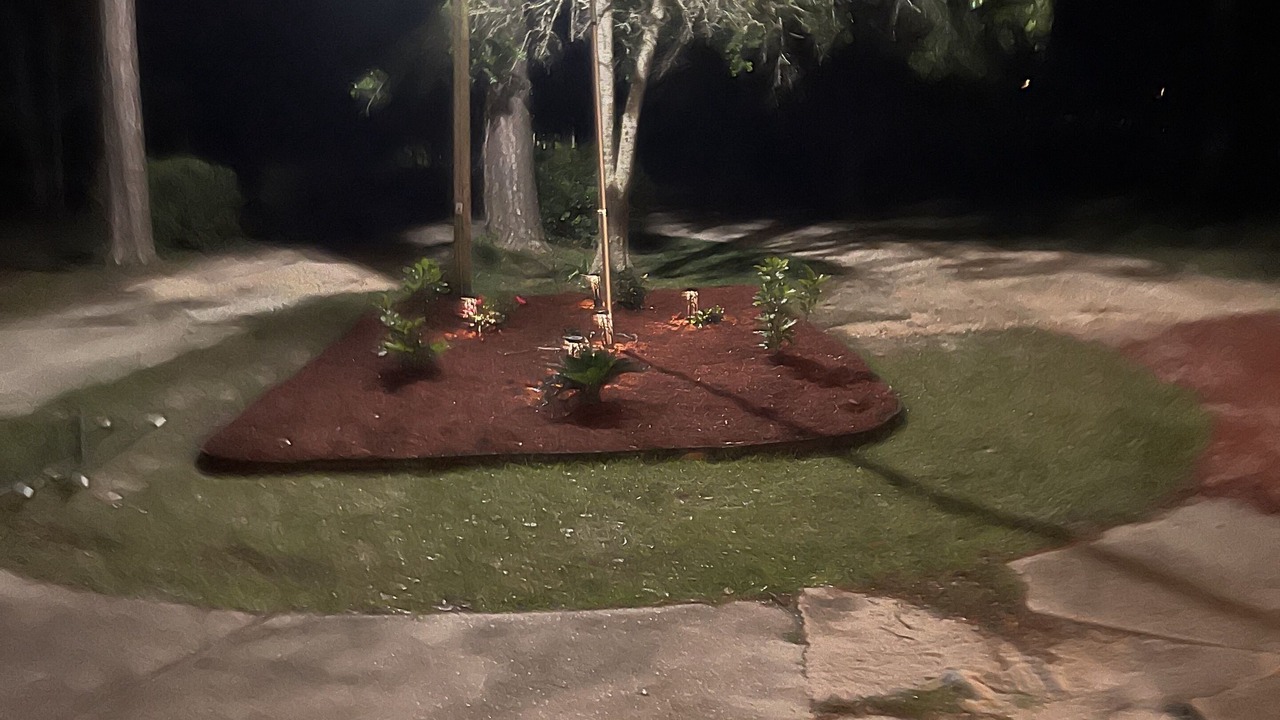 Photo of Outdoor in Florida Panhandle