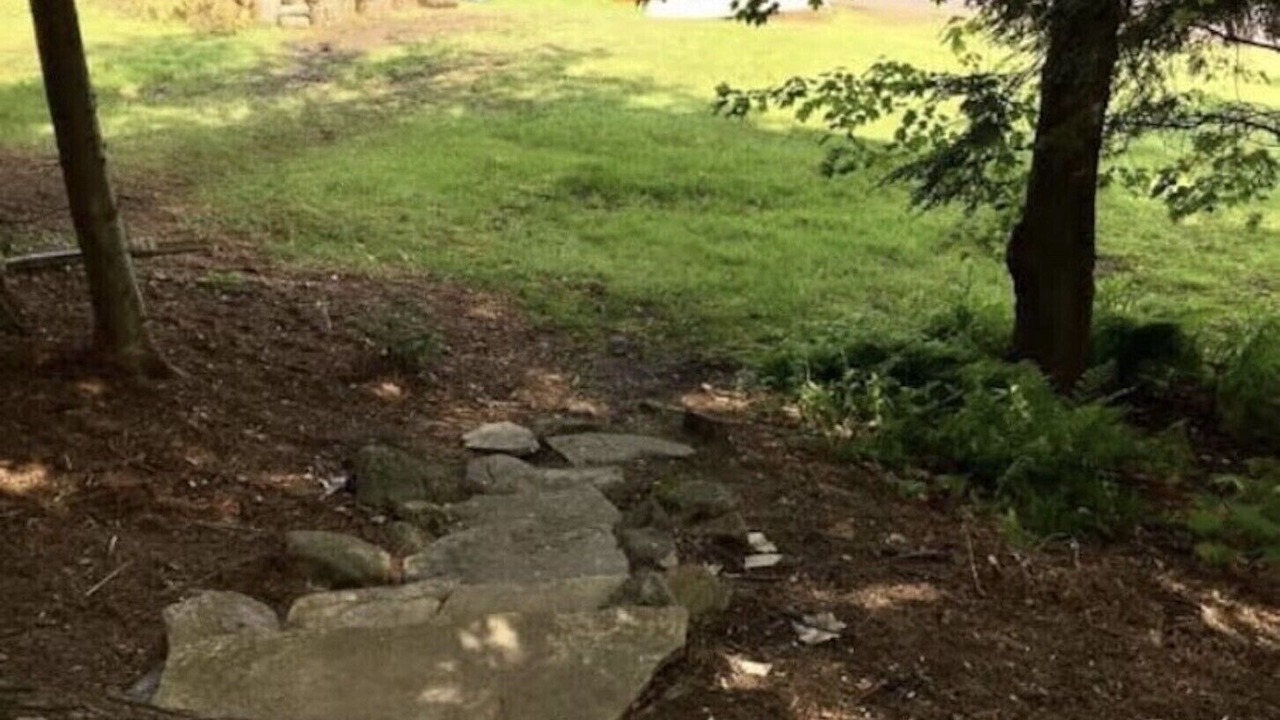 Photo of Outdoor in Muskoka Lakes