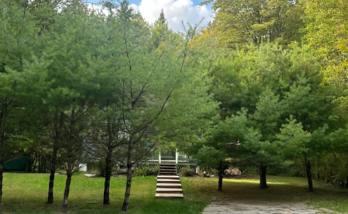 Photo of Outdoor in Shandaken