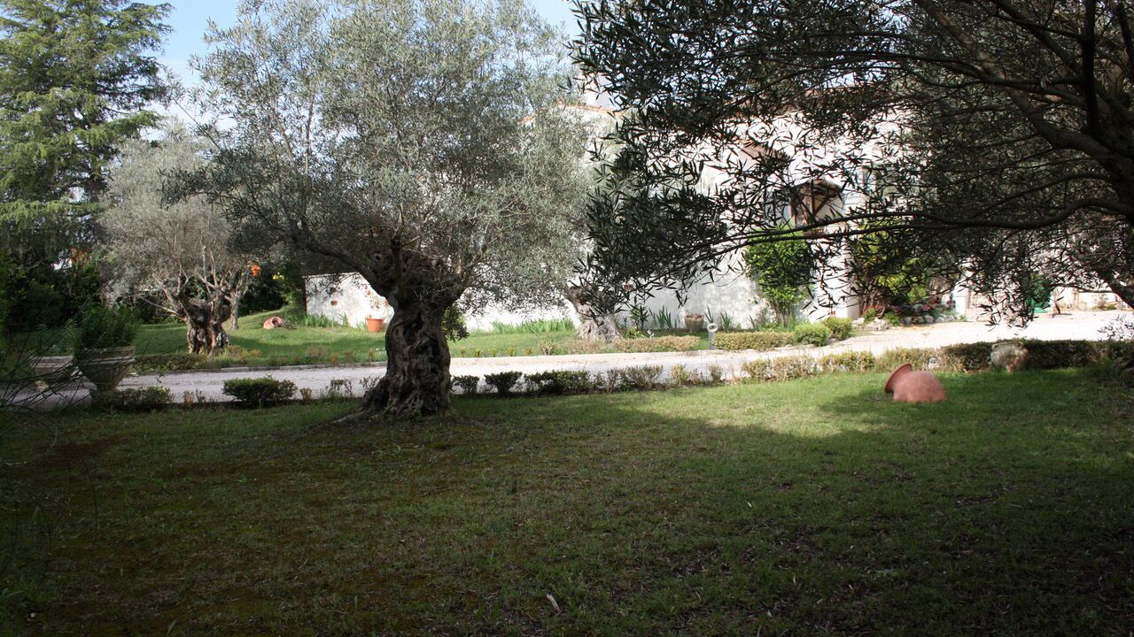 Photo of Outdoor in Jacou