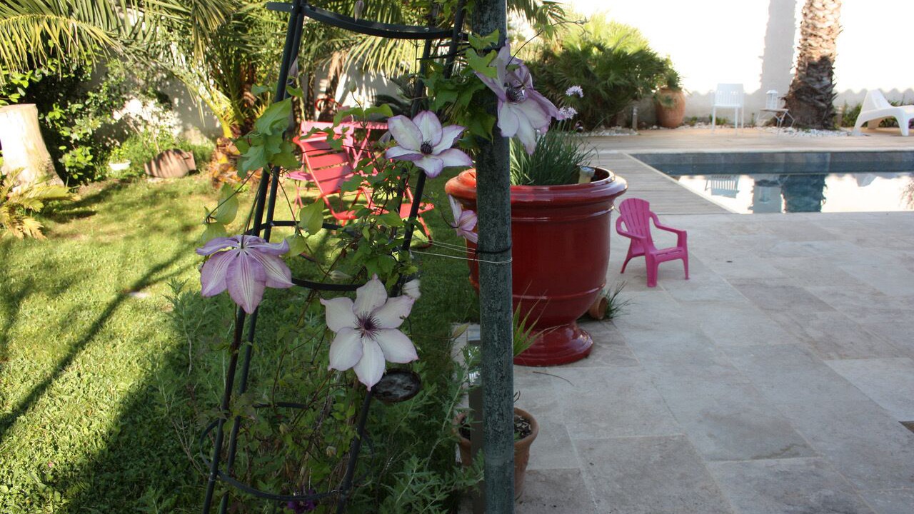 Photo of Outdoor in Jacou