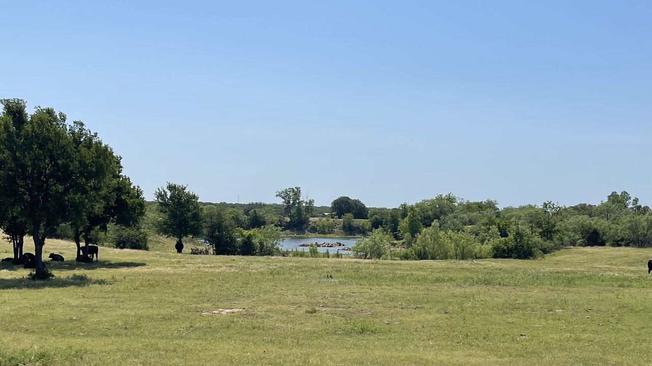 Photo of Others in Graham