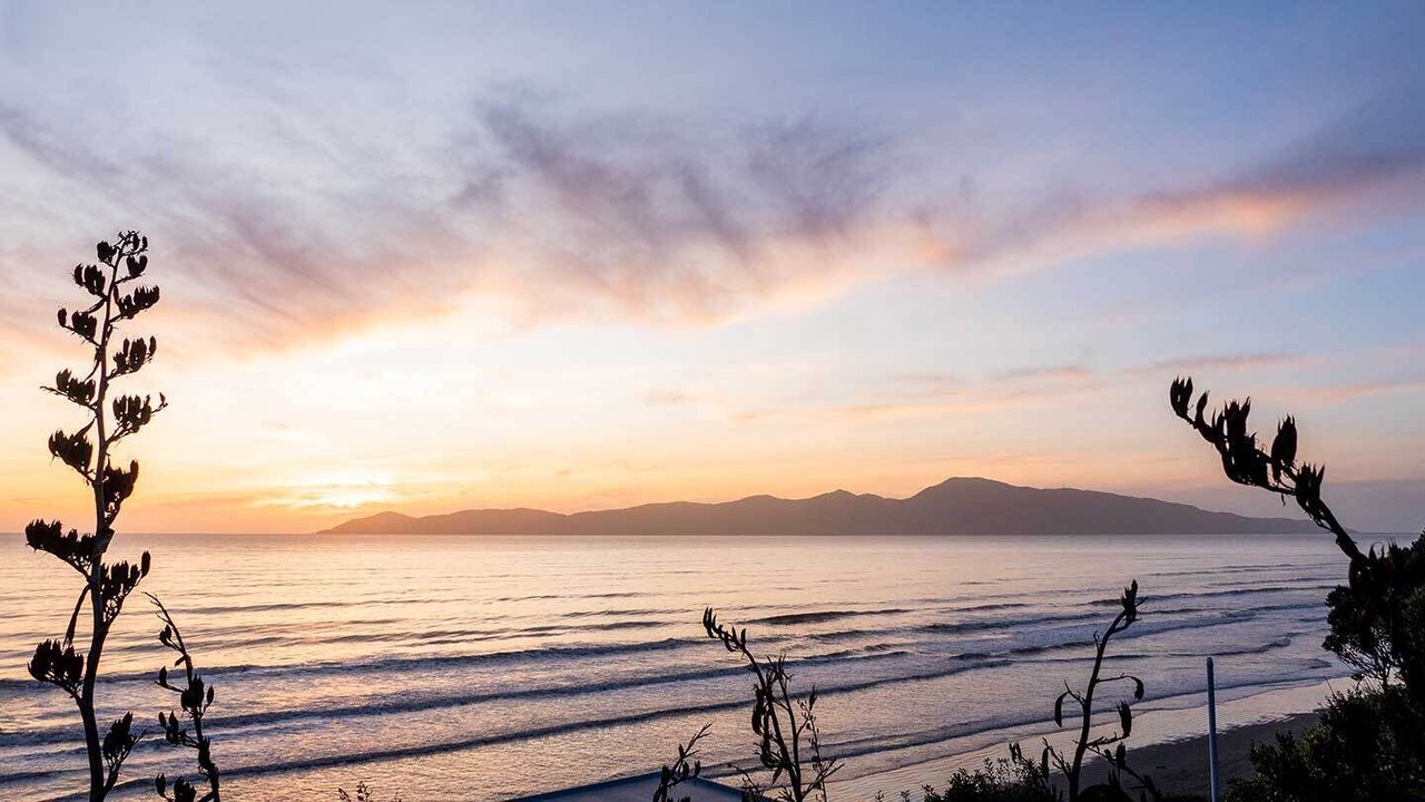 Photo of Others in Raumati South