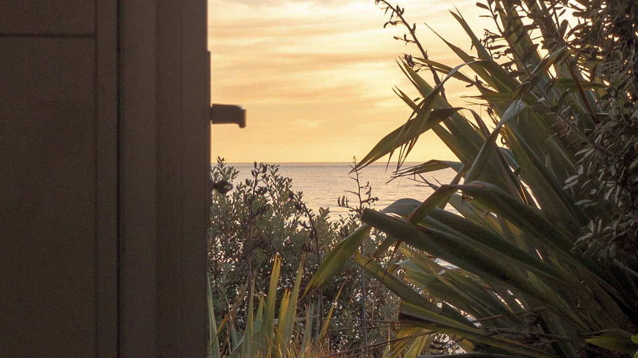 Photo of Others in Raumati South