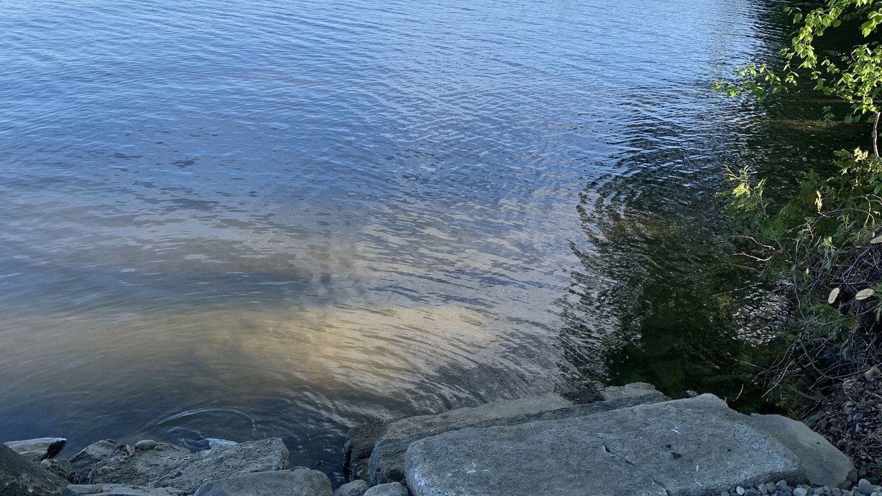 Photo of Others in Greenville