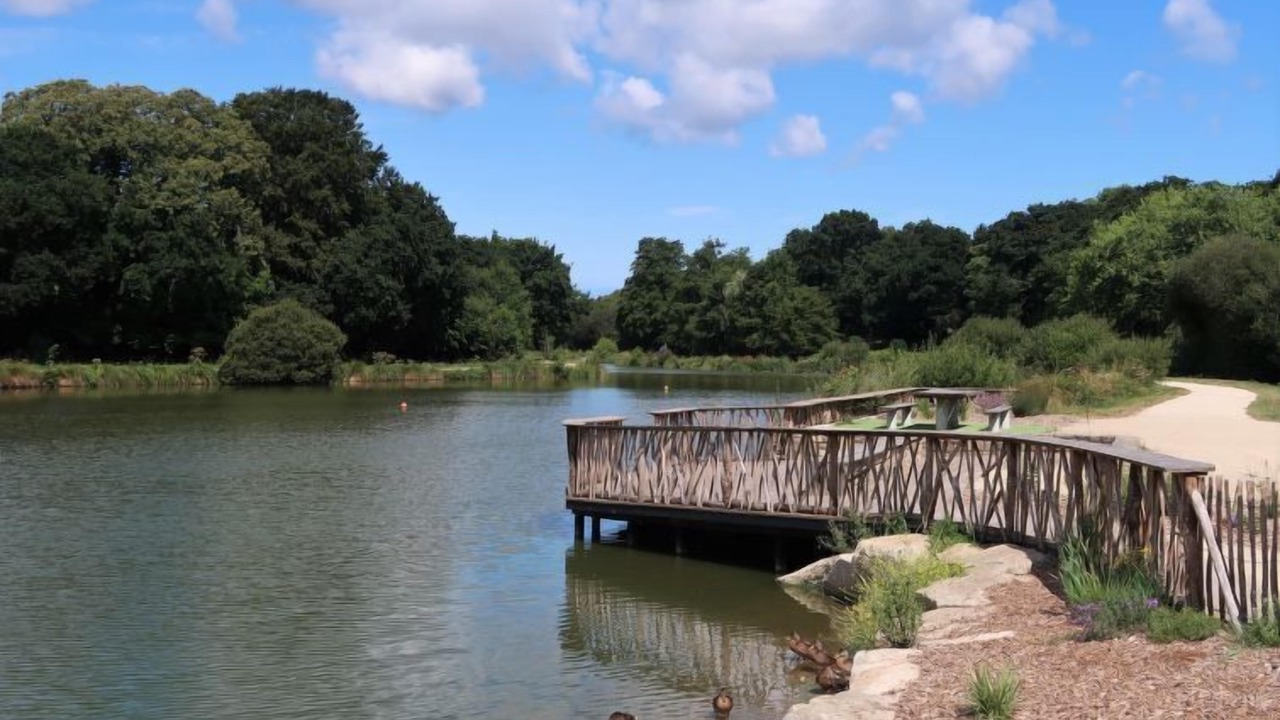 Photo of Others in Coat-Meal