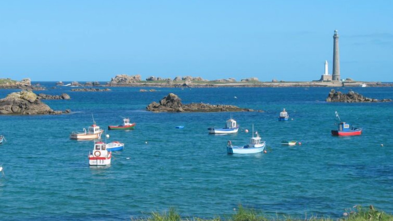 Photo of Others in Coat-Meal