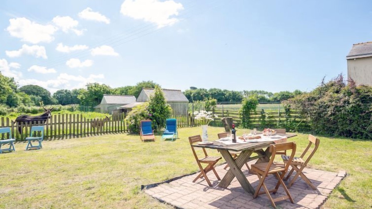 Photo of Outdoor in Coat-Meal