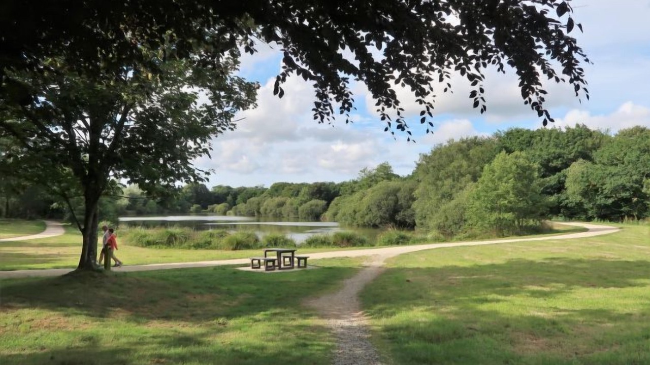 Photo of Others in Coat-Meal