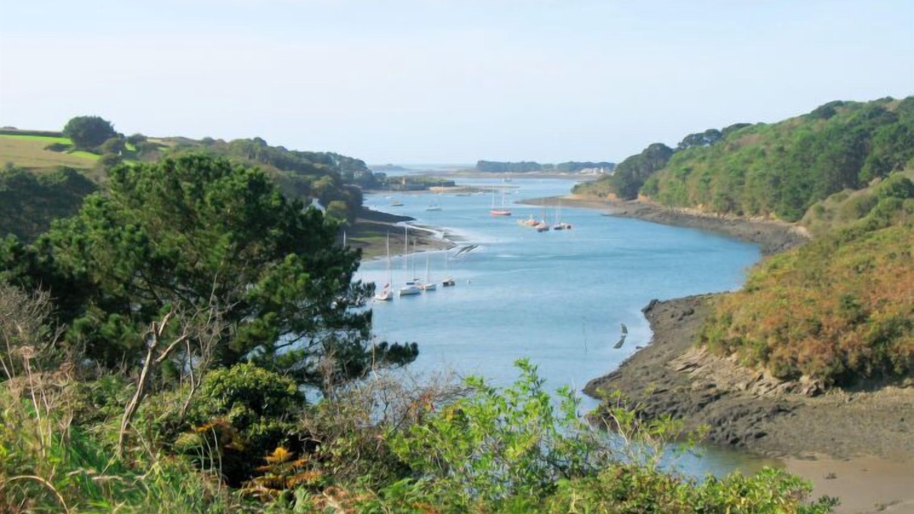 Photo of Others in Coat-Meal