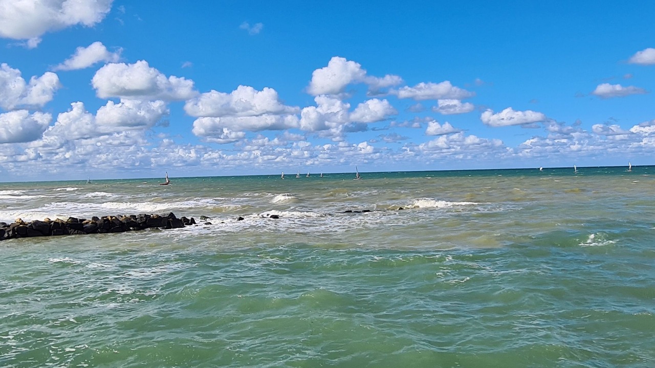 Photo of Others in Ver-sur-Mer