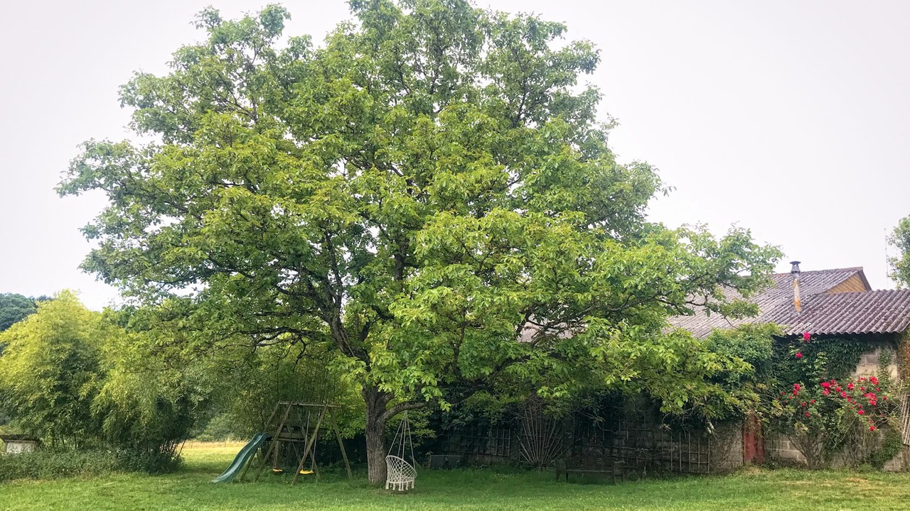 Photo of Outdoor in Saint-Nicolas des Eaux