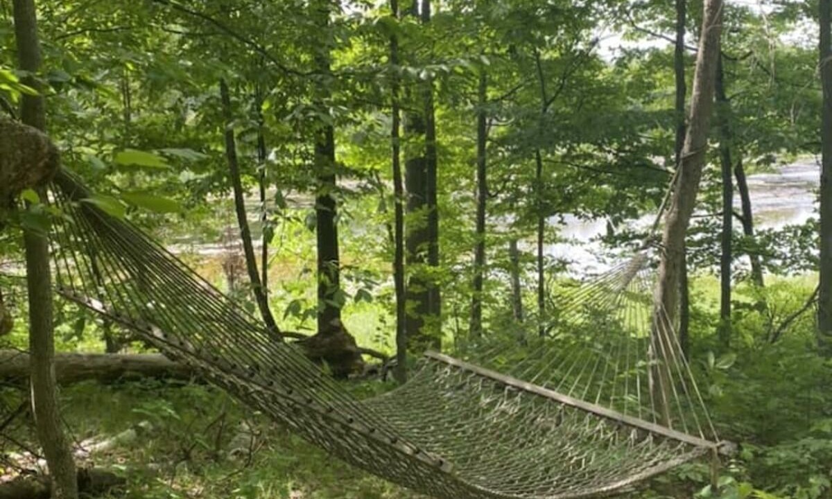 Photo of Outdoor in Trent Hills