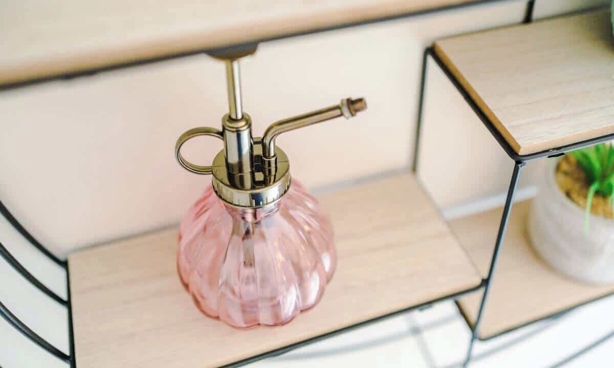 Photo of Others in Chester