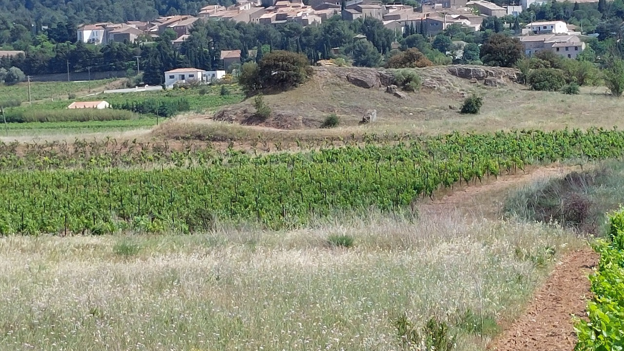Photo of Others in Montbrun-des-Corbieres