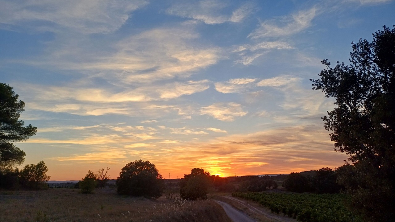 Photo of Others in Montbrun-des-Corbieres