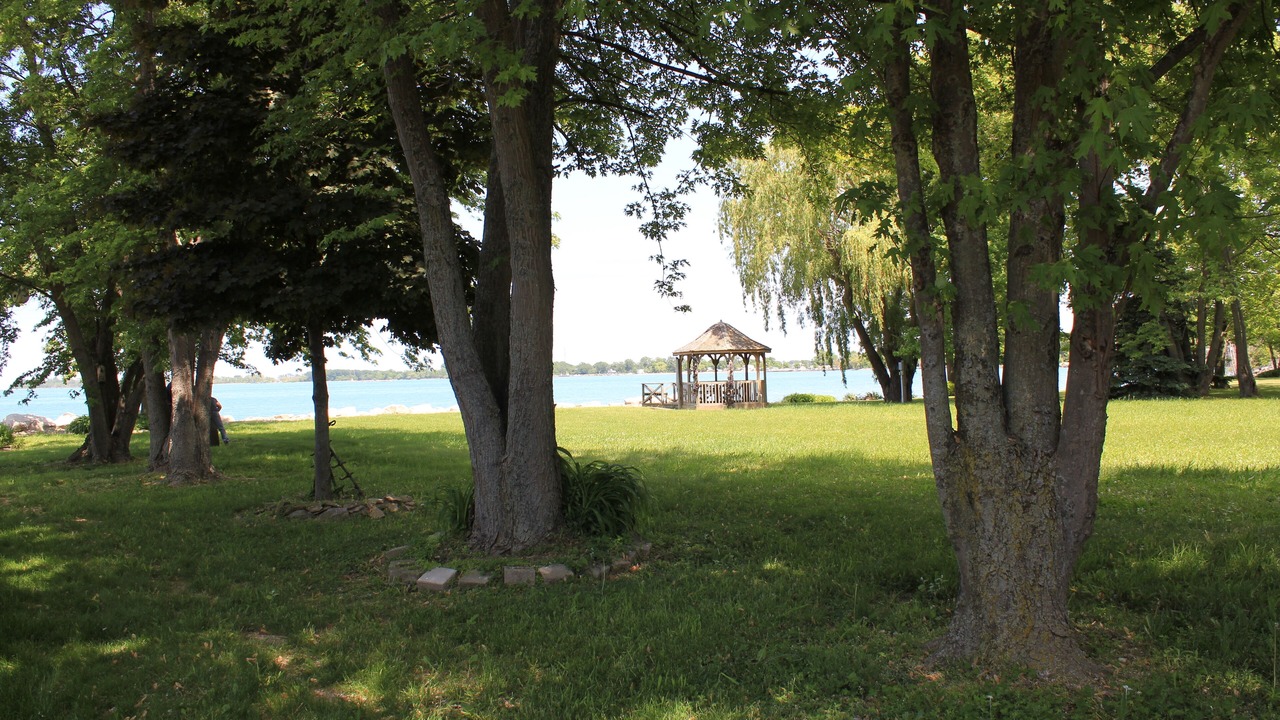 Photo of Outdoor in Kingsville