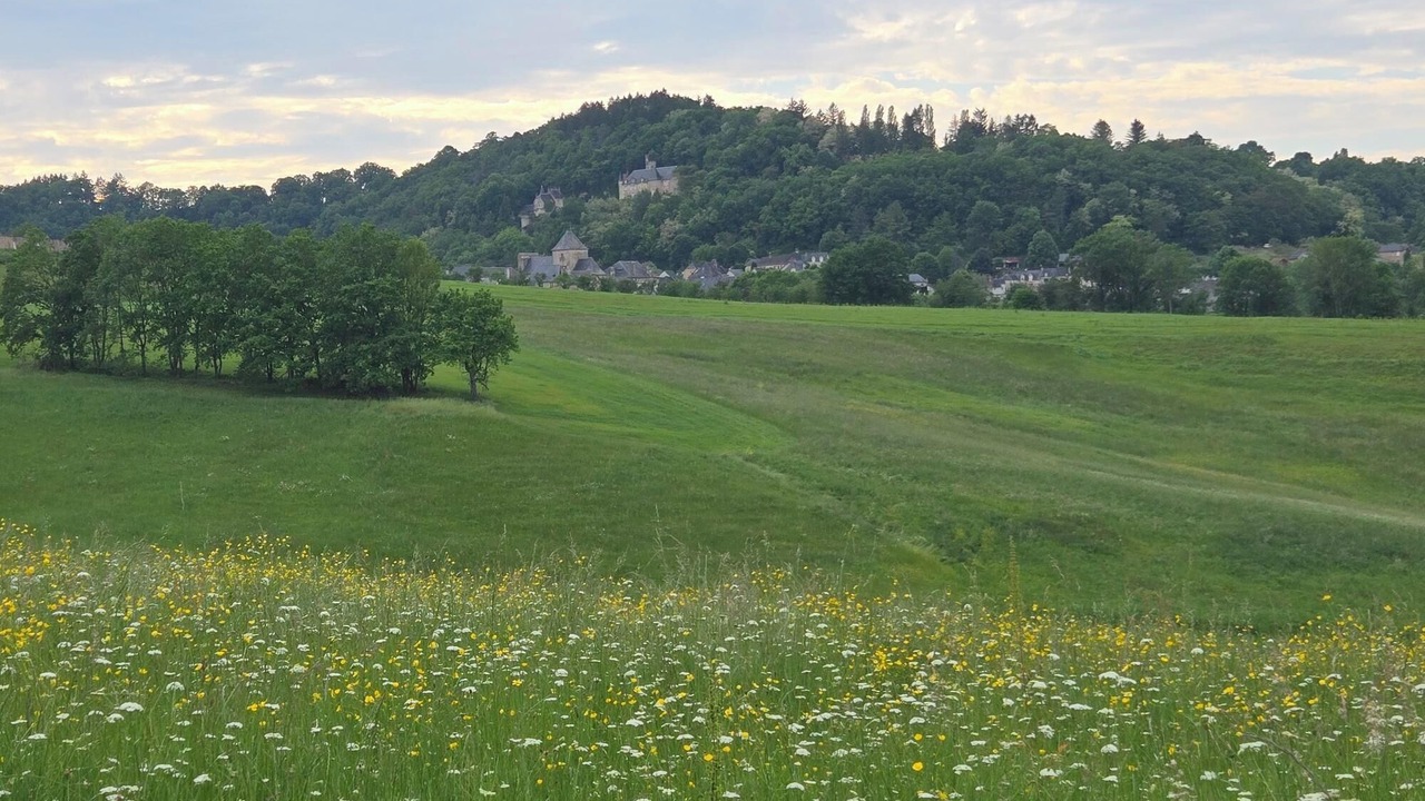 Photo of Others in Perpezac-le-Blanc
