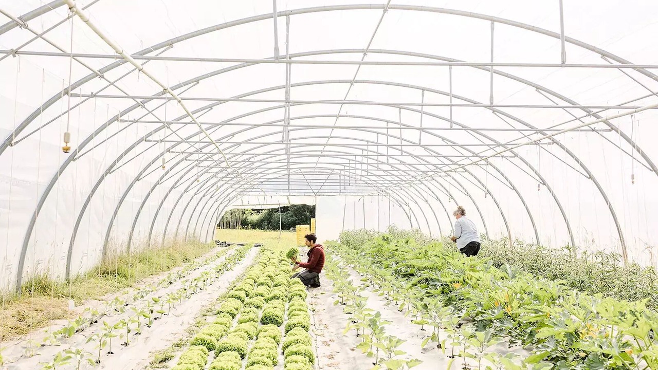 Photo of Others in Chauche