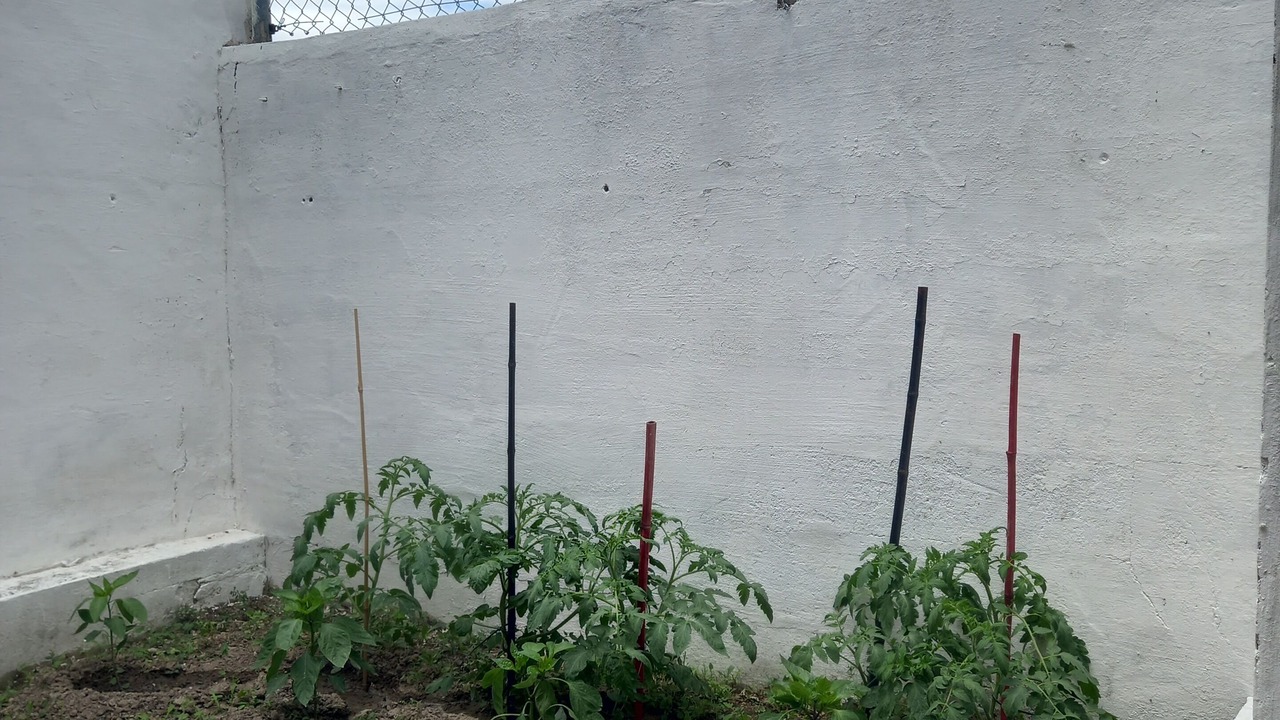 Photo of Outdoor in Castejon de Valdejasa
