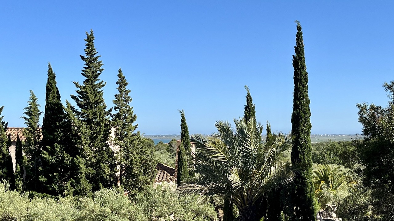 Photo of Outdoor in L'Ampolla