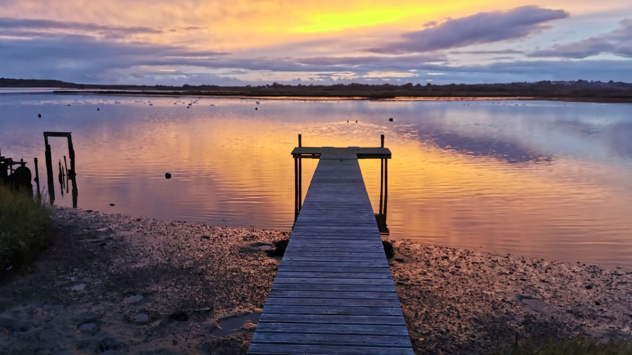 Photo of Others in Christchurch