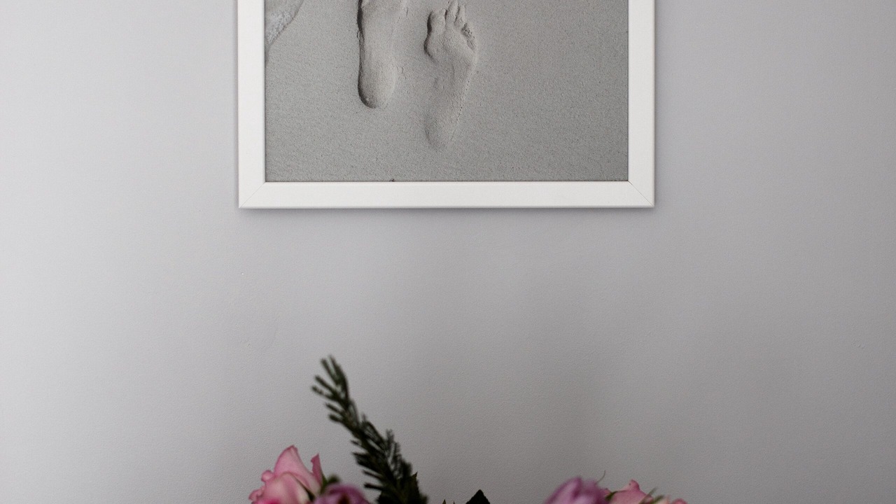 Photo of Others in Christchurch