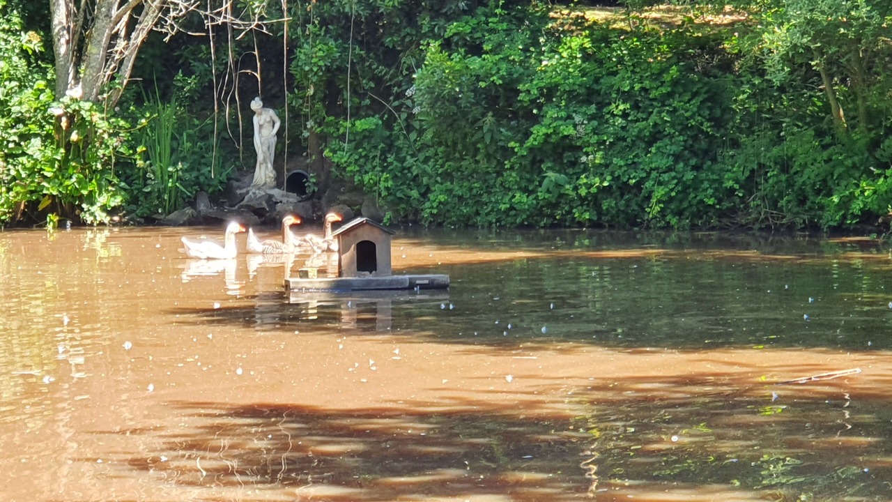 Photo of Outdoor in Noyal-Muzillac