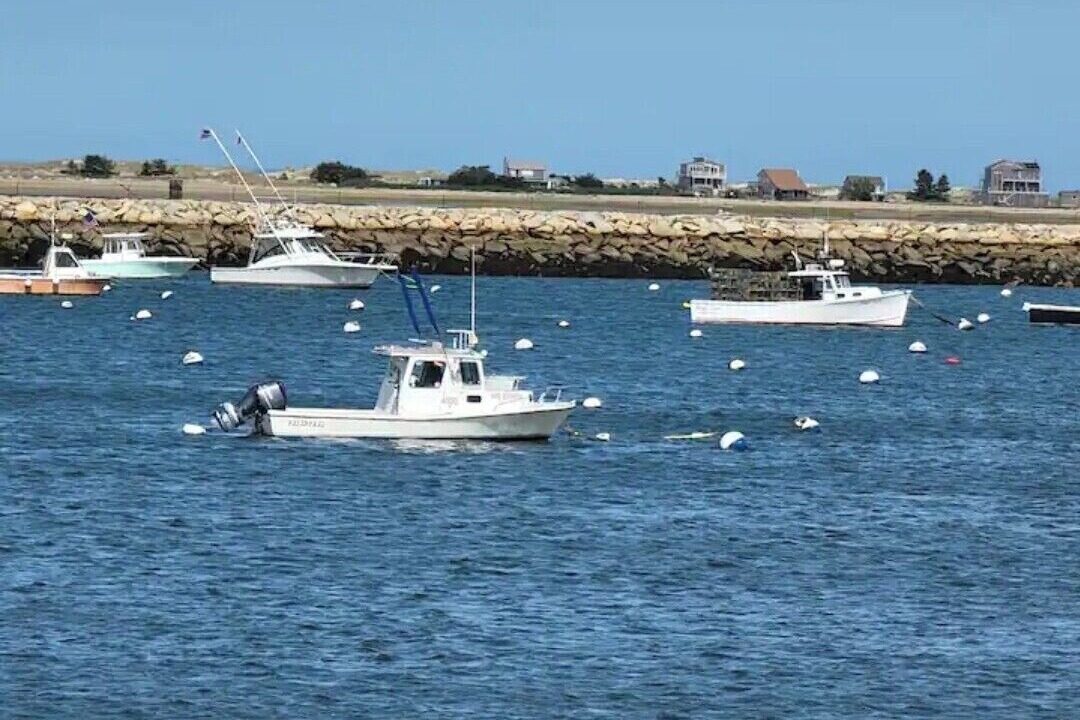 Photo of Others in Plymouth