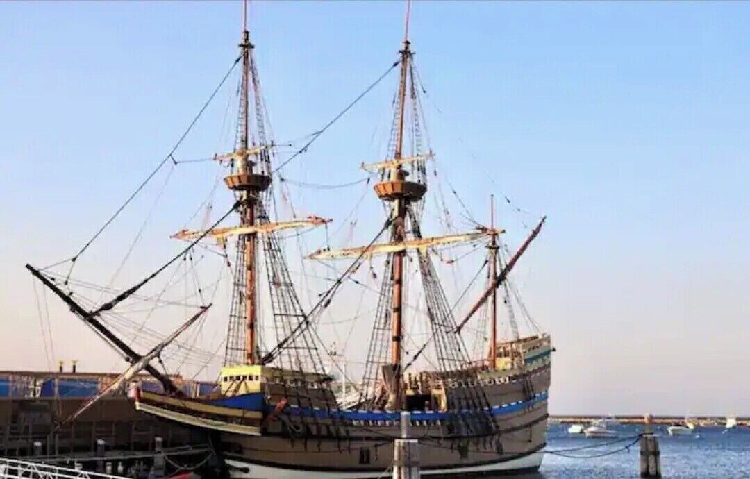 Photo of Others in Plymouth