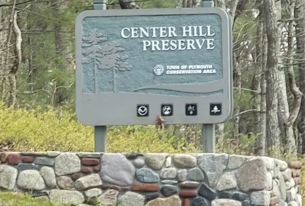 Photo of Outdoor in Plymouth